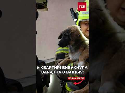 Пожежа в Києві! У квартирі вибухнула зарядна станція?! (ВІДЕО) Пожежа в Києві! У квартирі вибухнула зарядна станція?! (ВІДЕО)