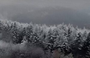 Україну накриє негода: де очікувати сніг і ожеледицю Україну-накриє-негода:-де очікувати-сніг-і ожеледицю