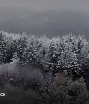 Україну-накриє-негода:-де очікувати-сніг-і ожеледицю Україну-накриє-негода:-де очікувати-сніг-і ожеледицю