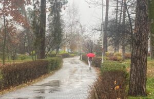 21 листопада в Києві потеплішає, але погоду зіпсує дощ 21-листопада-в-Києві-потеплішає,-але-погоду-зіпсує-дощ