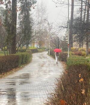 21-листопада-в-Києві-потеплішає,-але-погоду-зіпсує-дощ