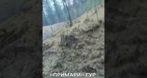 Відео знищення російських гелікоптера та ППО (ВІДЕО) Відео знищення російських гелікоптера та ППО (ВІДЕО)