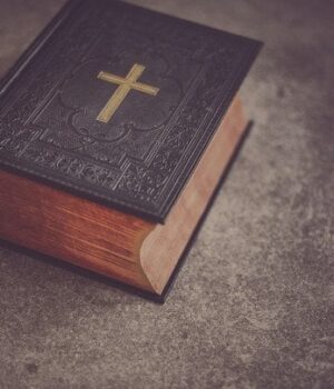 22 листопада —-кого-вшановує-церква,-що цього-дня-не можна-робити-з водою