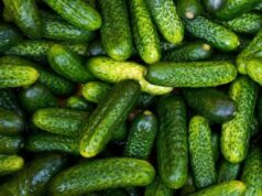 В Україні різко здорожчали огірки: яка причина В-Україні-різко-здорожчали-огірки:-яка-причина