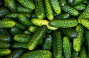 В Україні різко здорожчали огірки: яка причина В-Україні-різко-здорожчали-огірки:-яка-причина