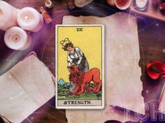 Гороскоп за картами Таро на 22 листопада 2025 року: упевненість для Овнів і натхнення для... Гороскоп-за-картами-Таро-на-22-листопада-2025-року:-упевненість-для-Овнів-і-натхнення-для.