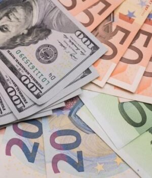 Курс-валют-на-24-листопада:-скільки-коштуватимуть-долар,-євро-і-злотий