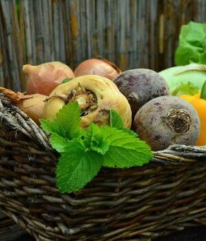 Скільки-коштує-картопля,-морква-та-інші-овочі-на-ринку-у-Луцьку:-огляд-цін