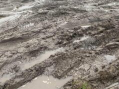 Це не ремонт — це знущання: мешканці міста на Волині розчаровані ремонтом вулиці Це-не-ремонт-—-це-знущання:-мешканці-міста-на-Волині-розчаровані-ремонтом-вулиці