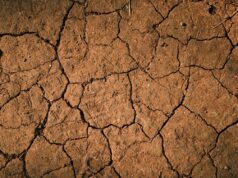 В одній із країн Африки помітили гігантські тріщини в землі: під загрозою мільйони людей В-одній-із-країн-Африки-помітили-гігантські-тріщини-в-землі:-під-загрозою-мільйони-людей