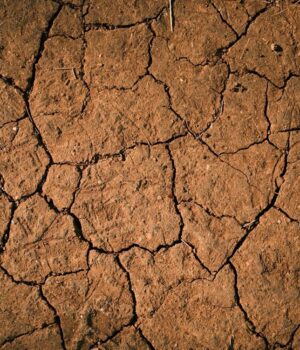 В-одній-із-країн-Африки-помітили-гігантські-тріщини-в-землі:-під-загрозою-мільйони-людей