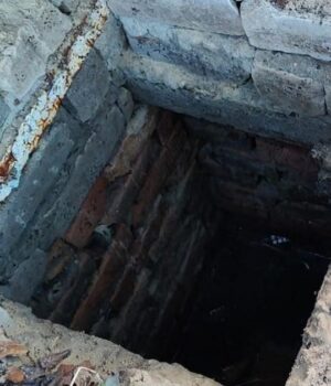 На-Волині-5-річний-хлопчик-впав-у-вигрібну-яму,-поки-мама-збирала-яблука