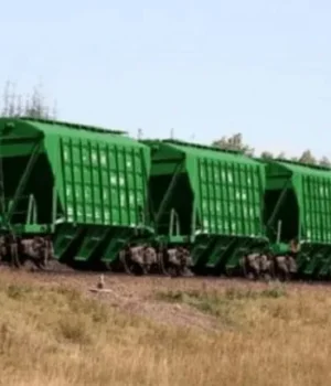 “Укрзалізниця” наростила експортні перевезення зерна на 40%