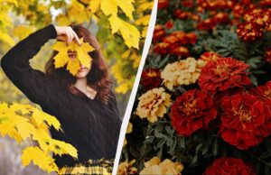 Чого категорично не можна говорити сьогодні: важливі звичаї у свято 23 листопада 2025 Чого-категорично-не-можна-говорити-сьогодні:-важливі-звичаї-у-свято-23-листопада-2025