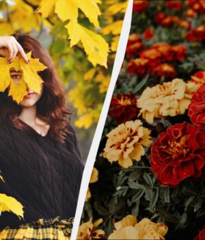 Чого-категорично-не-можна-говорити-сьогодні:-важливі-звичаї-у-свято-23-листопада-2025 Чого-категорично-не-можна-говорити-сьогодні:-важливі-звичаї-у-свято-23-листопада-2025