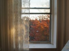 День ангела 23 листопада: кого та як вітати з іменинами День-ангела-23 листопада:-кого-та як вітати-з іменинами