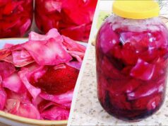 Капуста Пелюстка смачніша за звичайну в 10 разів: закриваю відразу потрійну порцію Капуста-Пелюстка-смачніша-за-звичайну-в-10-разів:-закриваю-відразу-потрійну-порцію