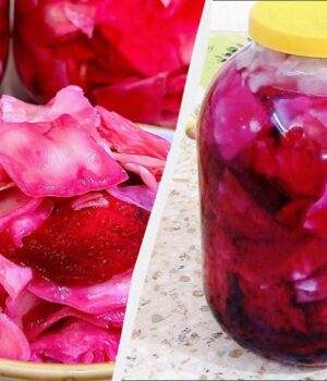 Капуста-Пелюстка-смачніша-за-звичайну-в-10-разів:-закриваю-відразу-потрійну-порцію