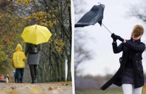 Синоптики попередили про негоду в понеділок: прогноз на 24 листопада Синоптики-попередили-про-негоду-в-понеділок:-прогноз-на-24-листопада