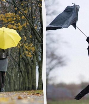 Синоптики-попередили-про-негоду-в-понеділок:-прогноз-на-24-листопада Синоптики-попередили-про-негоду-в-понеділок:-прогноз-на-24-листопада