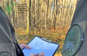 На Волині невідомі знищили заповідного лісу на 2 мільйони гривень На-Волині-невідомі-знищили-заповідного-лісу-на-2-мільйони-гривень