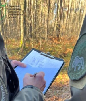 На-Волині-невідомі-знищили-заповідного-лісу-на-2-мільйони-гривень