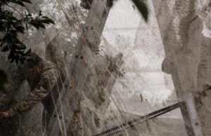 Битва за Донбасс: главное 21 ноября (обновляется) Битва-за-Донбасс:-главное-21-ноября-(обновляется)