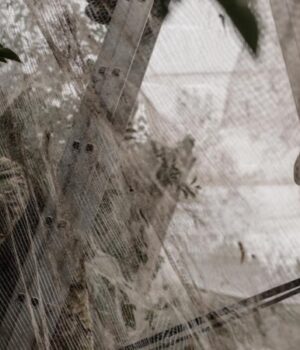 Битва-за-Донбасс:-главное-21-ноября-(обновляется)