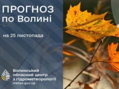 Якою буде погода у Луцьку та на Волині у вівторок, 25 листопада Якою-буде-погода-у-Луцьку-та-на-Волині-у-вівторок,-25-листопада