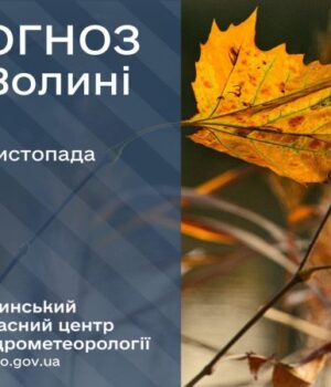 Якою-буде-погода-у-Луцьку-та-на-Волині-у-вівторок,-25-листопада