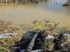 У водойму на Волині зливали невідому речовину, – Держекоінспекція У-водойму-на-Волині-зливали-невідому-речовину,-–-Держекоінспекція