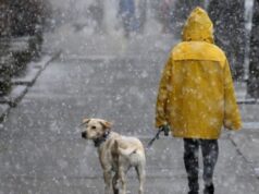 Мокрий сніг та ожеледиця на дорогах: якою цього тижня буде погода на Волині Мокрий-сніг-та-ожеледиця-на-дорогах:-якою-цього-тижня-буде-погода-на-Волині