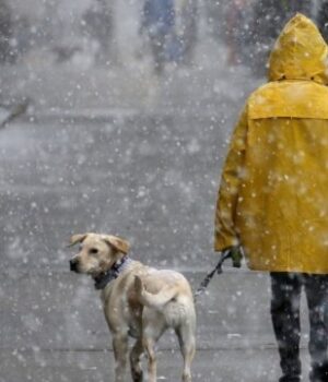 Мокрий-сніг-та-ожеледиця-на-дорогах:-якою-цього-тижня-буде-погода-на-Волині