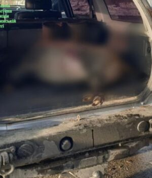 На-Волині-затримали-браконьєра,-який-вбив-з-мисливської-рушниці-дикого-кабана