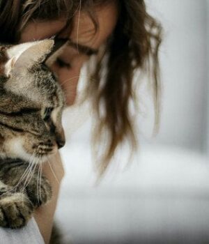 Кішка-повернулася-додому-через-10 років:-емоційне-возз’єднання-родини-потрапило-на відео