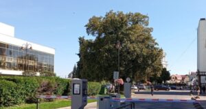 Скільки заробляє парковка у центрі Луцька Скільки-заробляє-парковка-у-центрі-Луцька