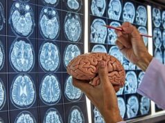 Вчені зʼясували, що мозок має пʼять фаз розвитку – дорослішання починається у 32 роки Вчені-зʼясували,-що-мозок-має-пʼять-фаз-розвитку-–-дорослішання-починається-у-32-роки