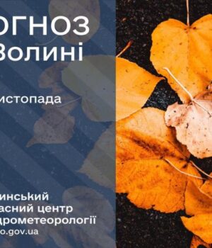 Якою-буде-погода-у-Луцьку-та-на-Волині-у-середу,-26-листопада Якою-буде-погода-у-Луцьку-та-на-Волині-у-середу,-26-листопада