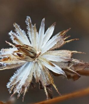 День-ангела-26 листопада:-кого-та як вітати-з іменинами День-ангела-26 листопада:-кого-та як вітати-з іменинами