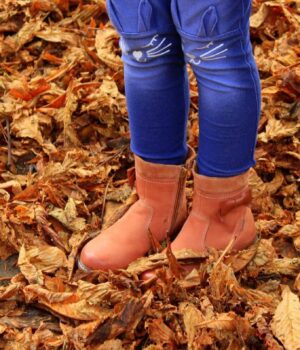 Якою-буде-погода-в-Україні-сьогодні:-прогноз-Укргідрометцентру