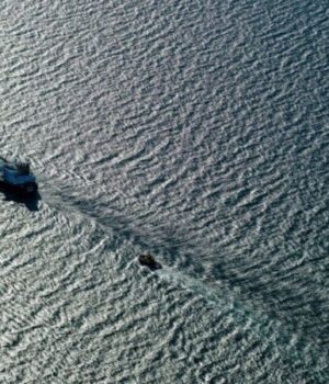 Путін-«подарував»-Китаю-$20-мільярдів,-обваливши-ціну-на-російську-нафту