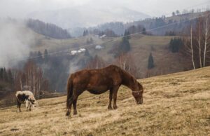 Одна частина України завтра підмерзне найбільше: синоптик розповіла про погоду в четвер Одна-частина-України-завтра-підмерзне-найбільше:-синоптик-розповіла-про-погоду-в-четвер