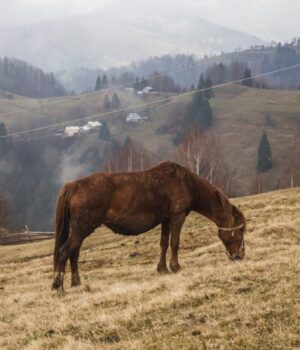 Одна-частина-України-завтра-підмерзне-найбільше:-синоптик-розповіла-про-погоду-в-четвер