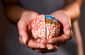 Фізик висунула теорію свідомості, яка пояснює, що відбувається з людиною після смерті Фізик-висунула-теорію-свідомості,-яка-пояснює,-що-відбувається-з-людиною-після-смерті