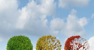 Уявлення про юність змінюється: вчені визначили 5 вікових фаз мозку Уявлення-про-юність-змінюється:-вчені-визначили-5-вікових-фаз-мозку