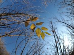 Погода на 27 листопада: де буде дощ та нічний мороз Погода-на 27 листопада:-де буде-дощ-та нічний-мороз