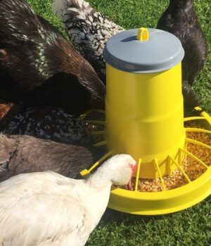 Годівниці-для-птиці Годівниці-для-птиці