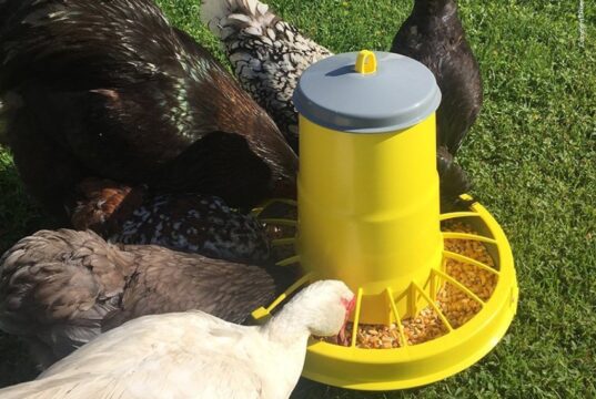 Годівниці для птиці Годівниці-для-птиці