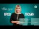 Тема дня | Ярко Любич про сучасну літературу під час війни і створення книги “Коли... Тема дня | Ярко Любич про сучасну літературу під час війни і створення книги “Коли...