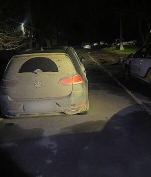 У-Луцьку-п’яний-водій-volkswagen-заїхав-у-кущі-і-застряг